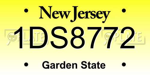 1DS8772 New Jersey License Plate