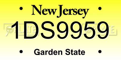 1DS9959 New Jersey License Plate