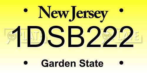 1DSB222 New Jersey License Plate