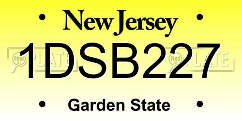 1DSB227 New Jersey License Plate