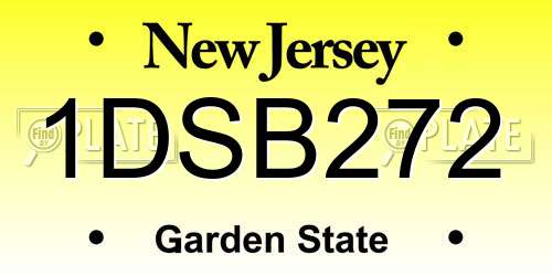 1DSB272 New Jersey License Plate
