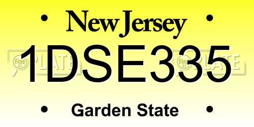 1DSE335 New Jersey License Plate