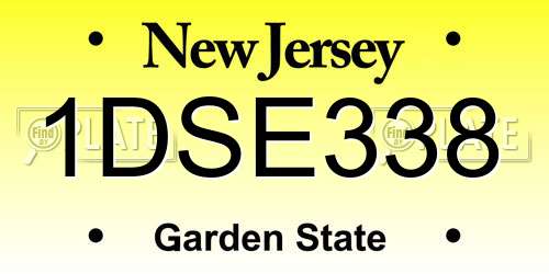 1DSE338 New Jersey License Plate