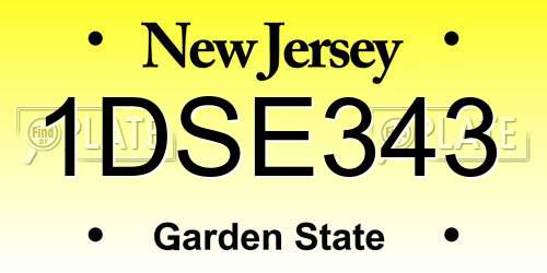 1DSE343 New Jersey License Plate