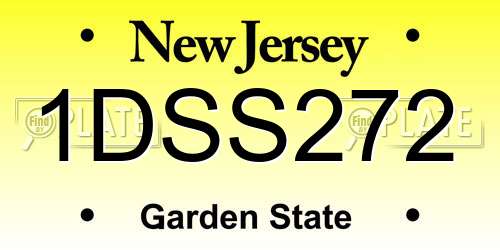 1DSS272 New Jersey License Plate