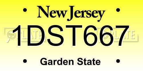 1DST667 New Jersey License Plate