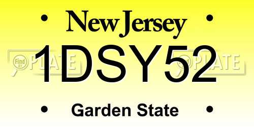 1DSY52 New Jersey License Plate