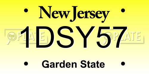 1DSY57 New Jersey License Plate