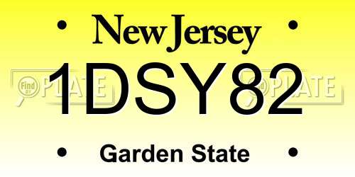 1DSY82 New Jersey License Plate