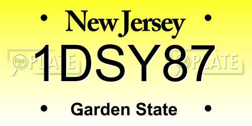 1DSY87 New Jersey License Plate