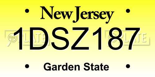 1DSZ187 New Jersey License Plate