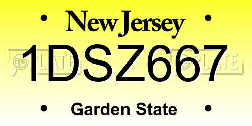 1DSZ667 New Jersey License Plate