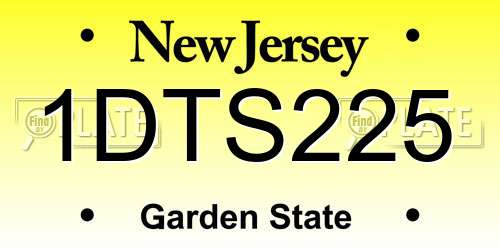 1DTS225 New Jersey License Plate