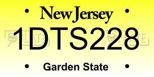 1DTS228 New Jersey License Plate