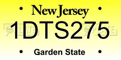 1DTS275 New Jersey License Plate