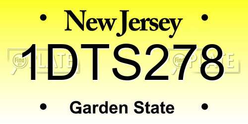 1DTS278 New Jersey License Plate