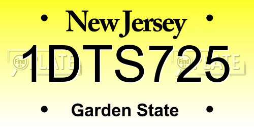 1DTS725 New Jersey License Plate