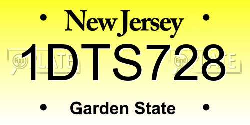 1DTS728 New Jersey License Plate