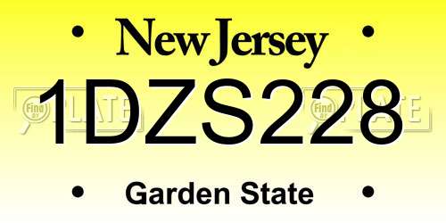 1DZS228 New Jersey License Plate
