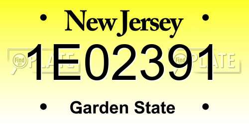 1E02391 New Jersey License Plate