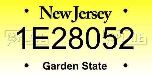 1E28052 New Jersey License Plate