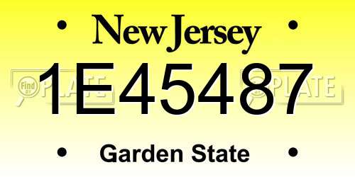 1E45487 New Jersey License Plate
