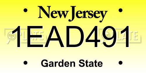 1EAD491 New Jersey License Plate
