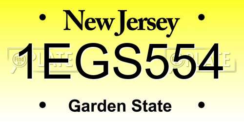 1EGS554 New Jersey License Plate