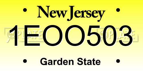 1EOO503 New Jersey License Plate