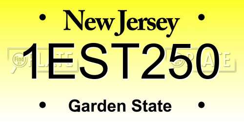 1EST250 New Jersey License Plate