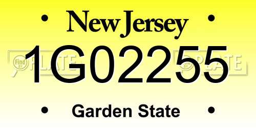 1G02255 New Jersey License Plate