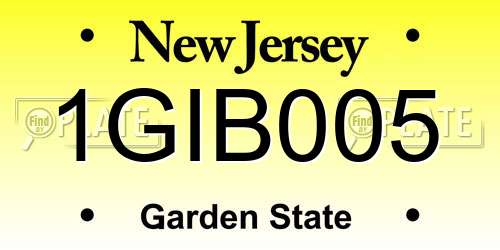 1GIB005 New Jersey License Plate