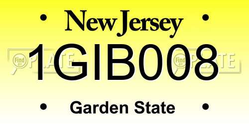 1GIB008 New Jersey License Plate