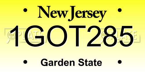 1GOT285 New Jersey License Plate