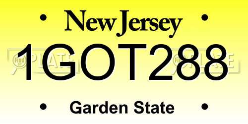 1GOT288 New Jersey License Plate