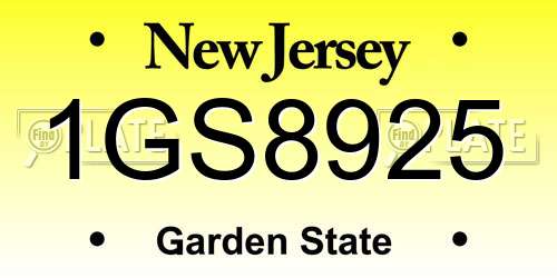 1GS8925 New Jersey License Plate