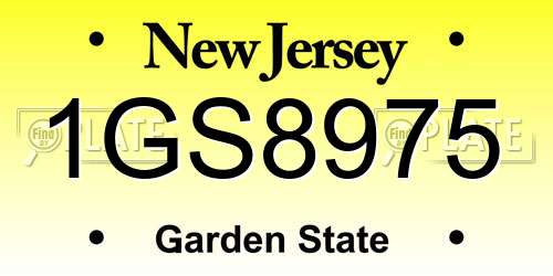 1GS8975 New Jersey License Plate