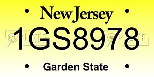 1GS8978 New Jersey License Plate