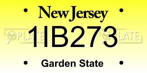 1IB273 New Jersey License Plate