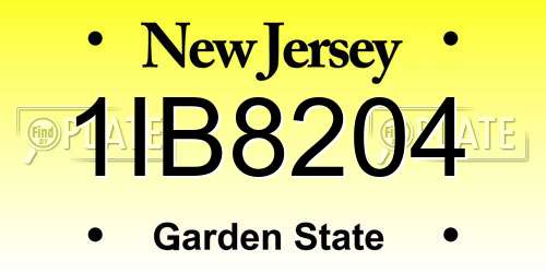 1IB8204 New Jersey License Plate