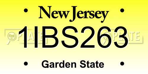 1IBS263 New Jersey License Plate