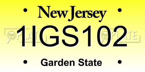 1IGS102 New Jersey License Plate
