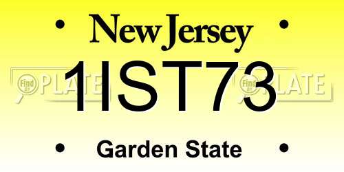 1IST73 New Jersey License Plate