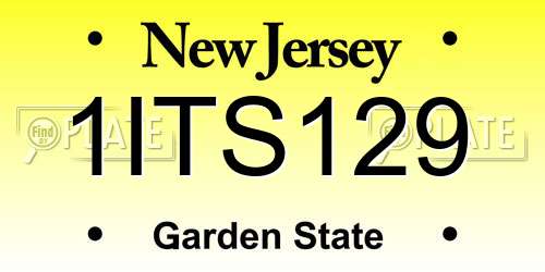 1ITS129 New Jersey License Plate