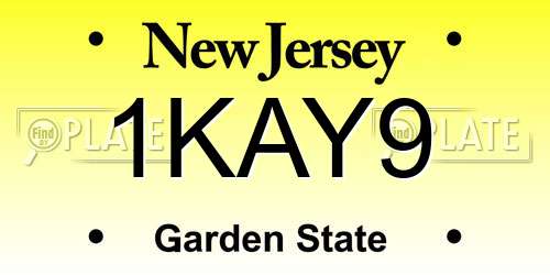 1KAY9 New Jersey License Plate