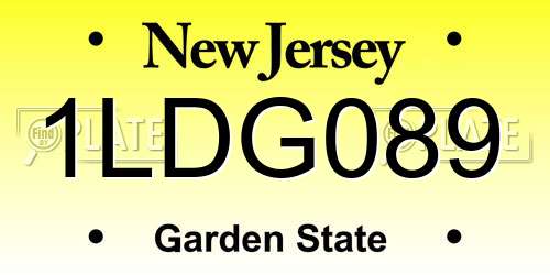 1LDG089 New Jersey License Plate
