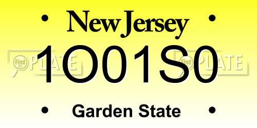 1O01S0 New Jersey License Plate