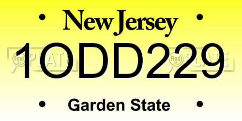 1ODD229 New Jersey License Plate
