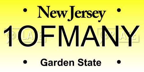 1OFMANY New Jersey License Plate
