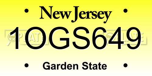 1OGS649 New Jersey License Plate
